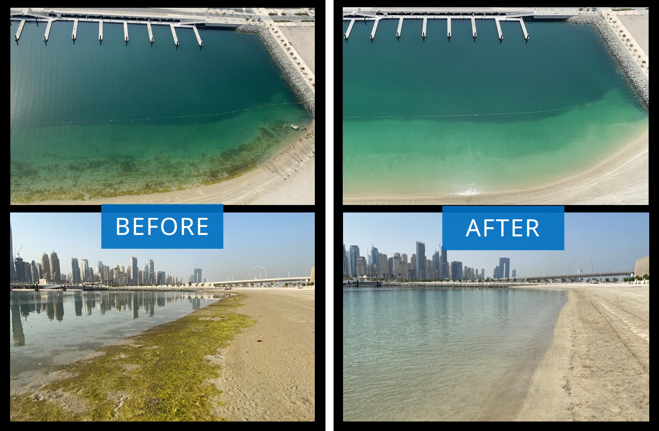 Before and after of marine algae cleaning on a Dubai beach shoreline