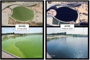 A Dubai community lake before and after a lake-management programme, showing green algae-laden water in 2022 and clear water in 2025