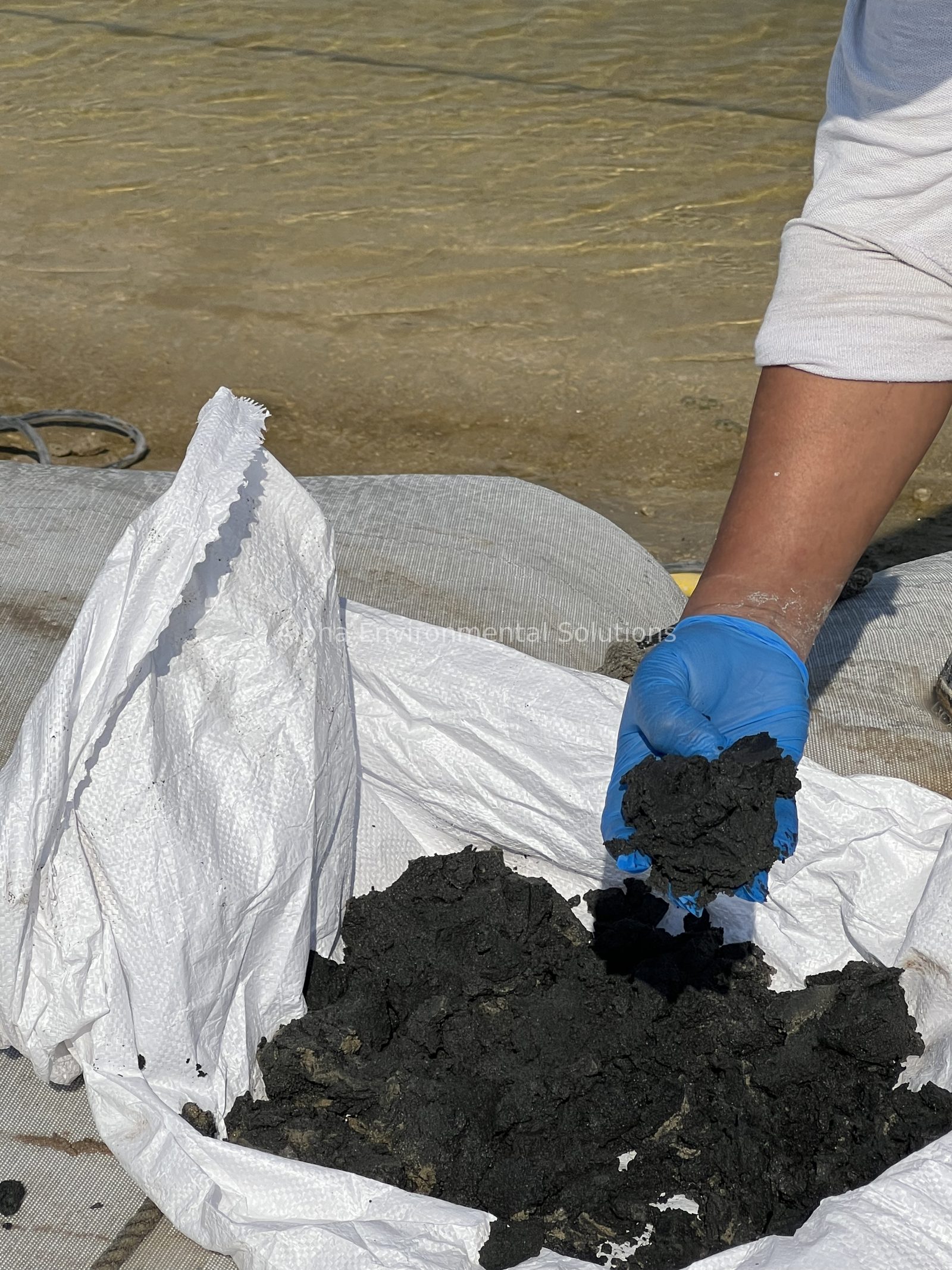Gloved hand holding a sample of black organic sludge taken from a UAE lake bed