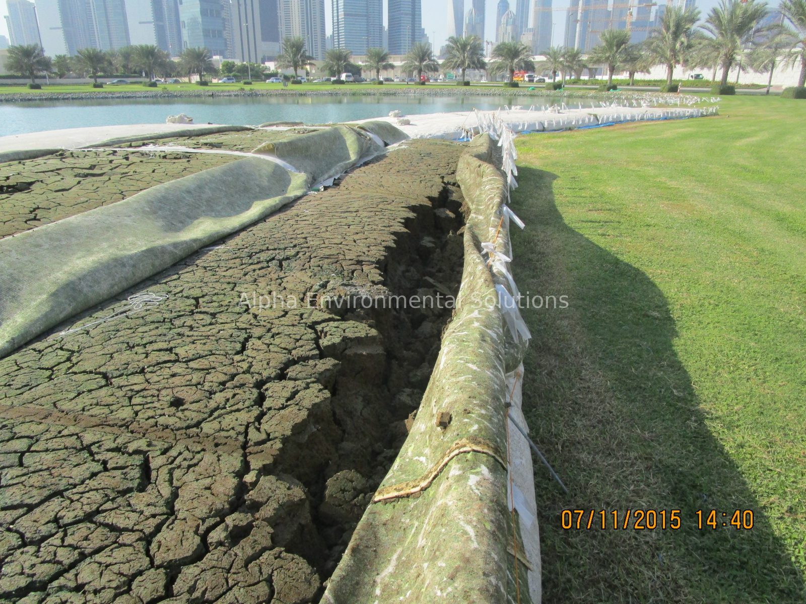 Dredged lake sludge dewatering inside geotextile bags beside a Dubai community water body