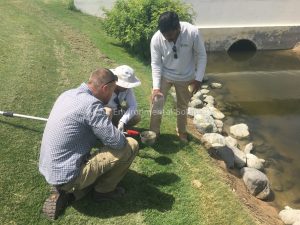 Environmental consultants collecting water and sediment samples at the edge of a closed lagoon in Dubai for an Environmental Clearance study
