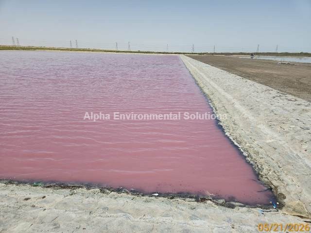 UAE lake with pink hypersaline water and an exposed concrete-lined shore showing a dropped summer water level