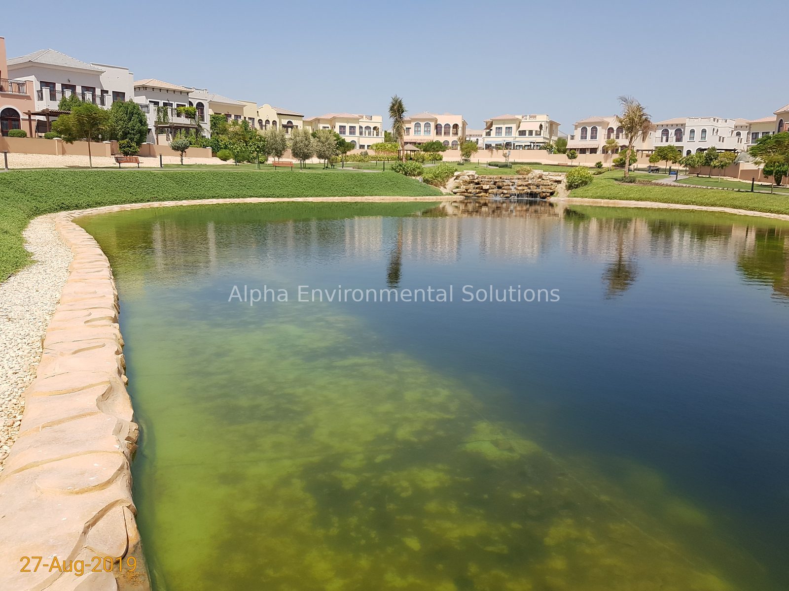 Green, algae infested community lake in the UAE topped up with recycled water